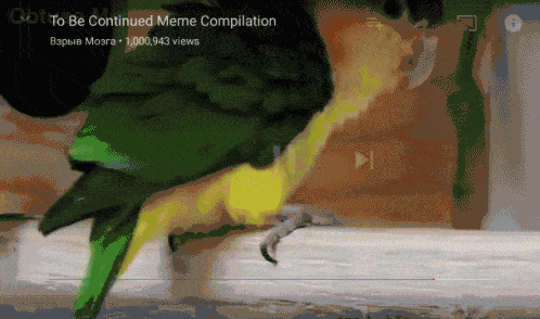to be continued gif bird_1