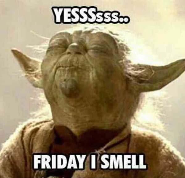 yes friday i smell