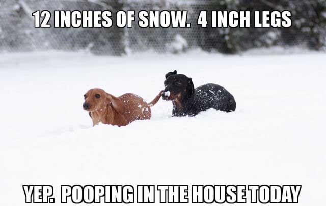 12 inches of snow meme