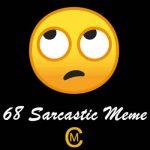 68 Sarcastic Meme