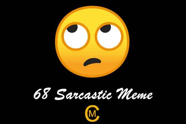 68 Sarcastic Meme