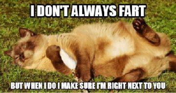 85 Funnniest Fart Meme - Meme Central