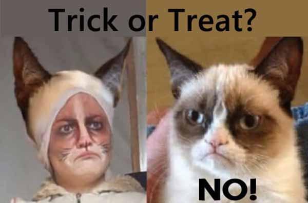 Grumpy Cat Halloween Memes
