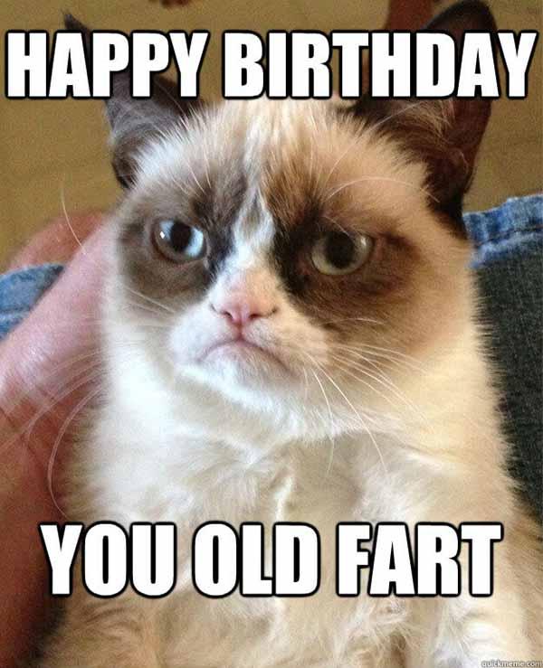 Happy-Birthday-you-old-fart grumpy cat