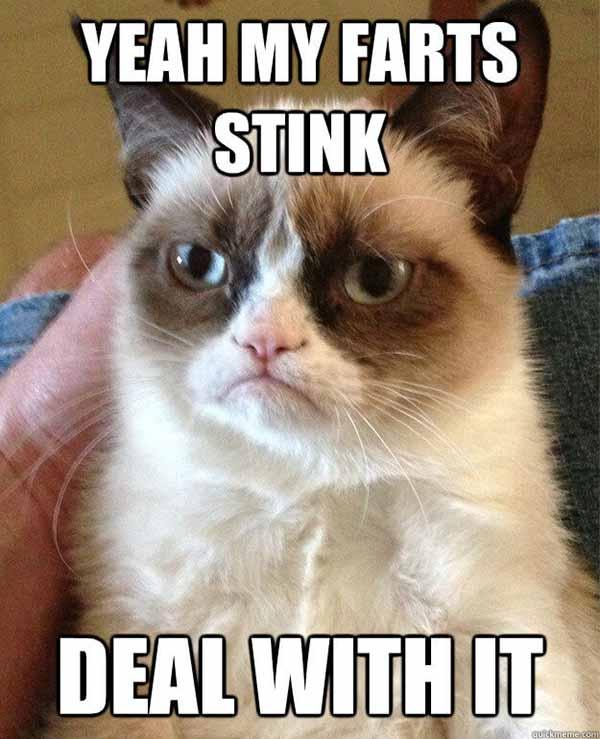 Yeah-my-farts-stink cat fart meme