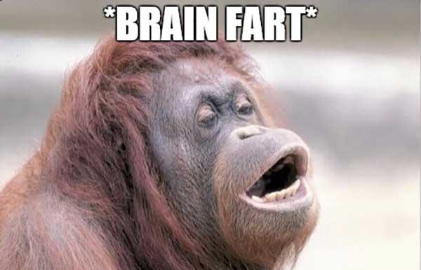 funny brain fart meme