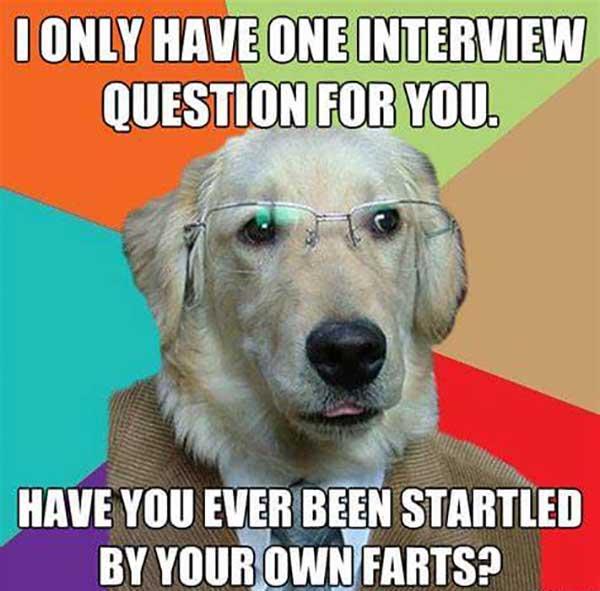 funny dog fart meme