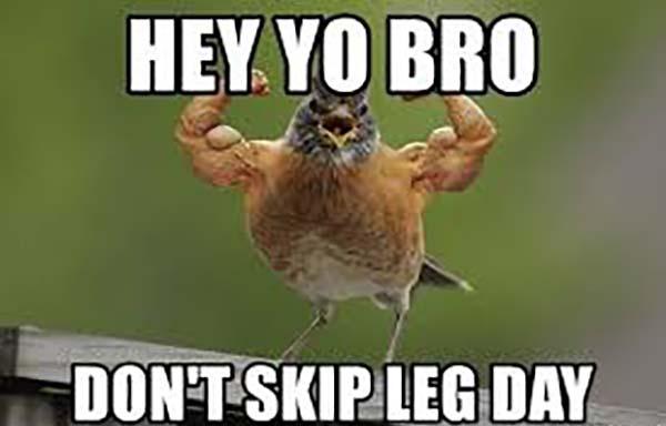 funny skip leg day meme