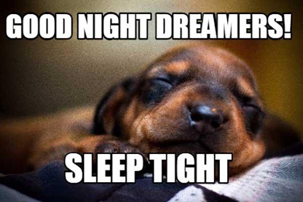 good night dreamers sleep tight - good night dog meme