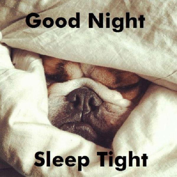 56 Best Good Night Meme - Meme Central