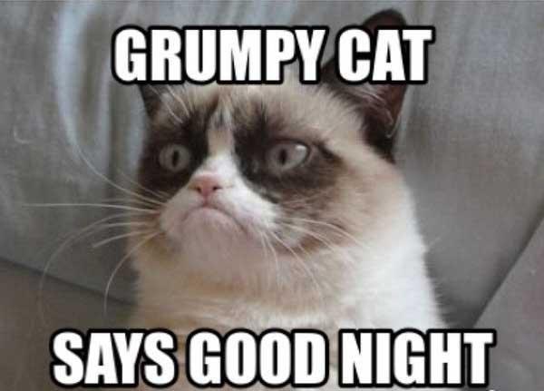 grumpy cat say good night