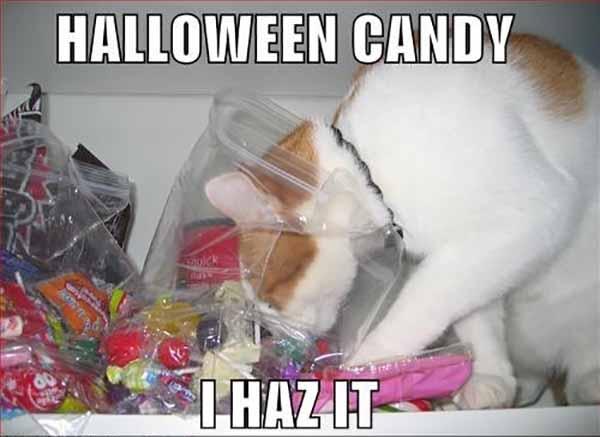 halloween candy i haz it