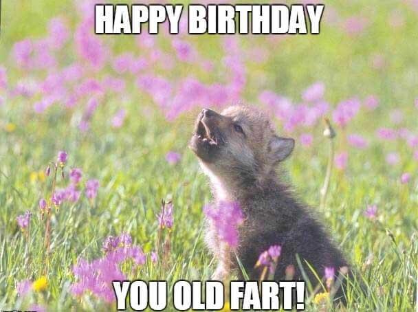 happy birthday you old fart meme