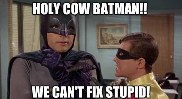 holy cow batman we can't fix stupid -holy batman meme