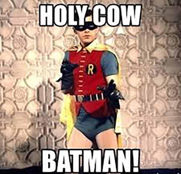 holy cow batman