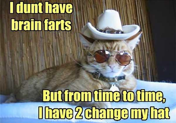 i dont have brain fart farts...