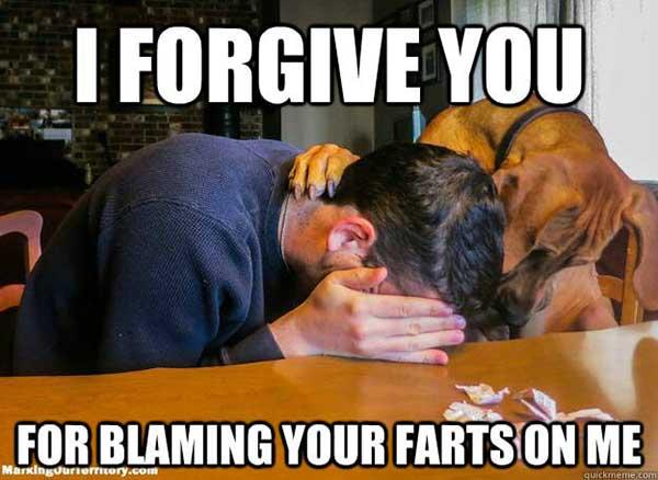 i forgive you... dog fart meme