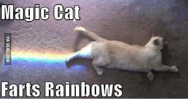 magic-cat-farts-rainbows