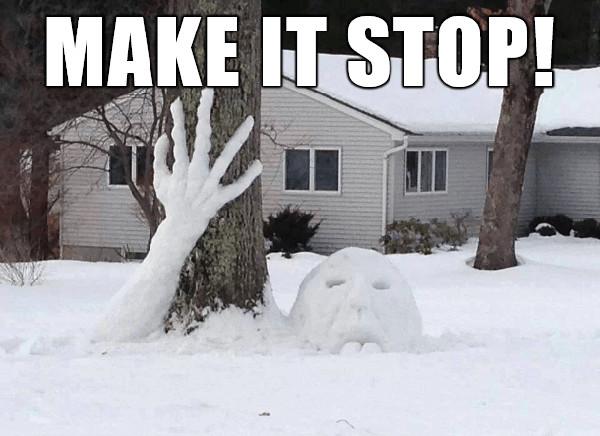 make it stop - snow storm meme