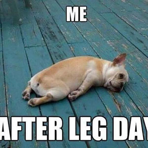 me after leg day