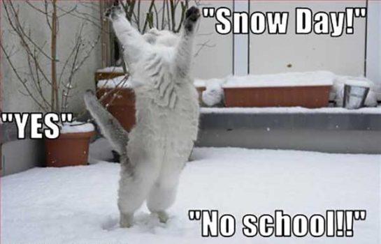 Snow Day Memes Funny Memes 2017 Campbell Higend