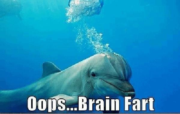 oops-brain-fart