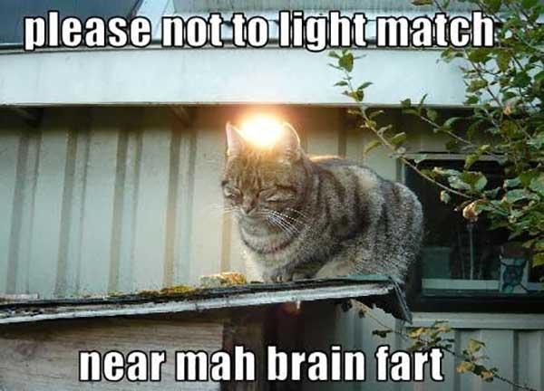 please not to light match near mah brain fart