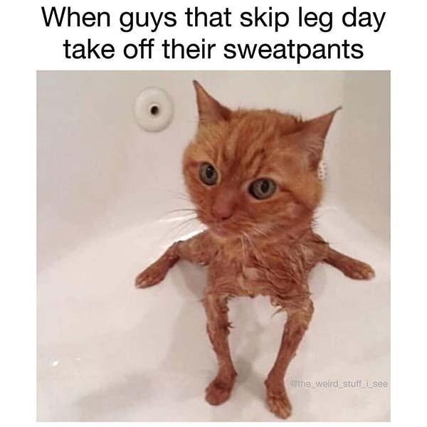 skip leg day meme