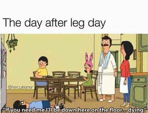 the day after leg day meme