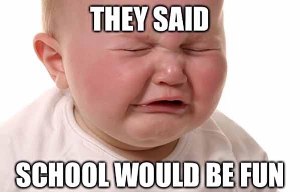 they said school would be fun - baby crying meme