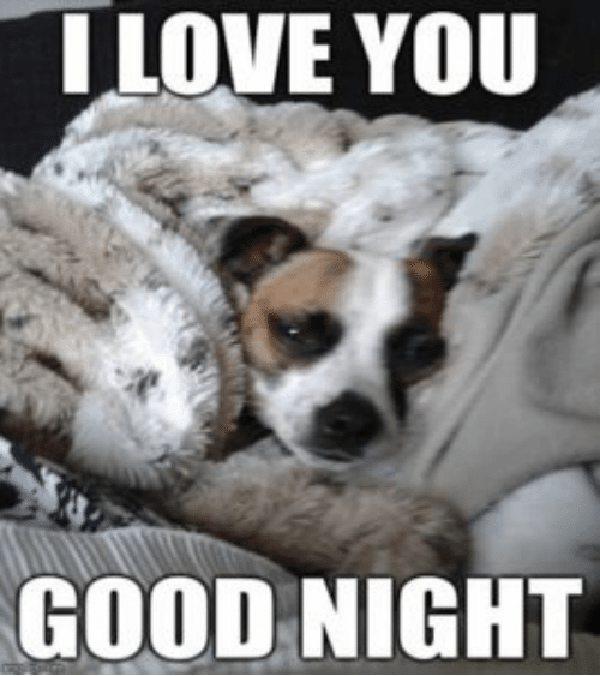 56 Best Good Night Meme Meme Central