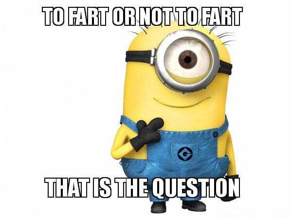 to-fart-or-not to fart that is the question