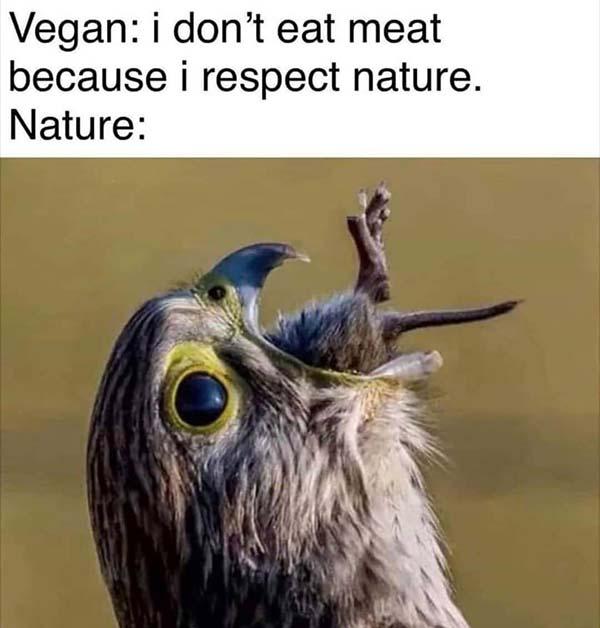 vegan i don't eat meat because i respect the nature... savage meme