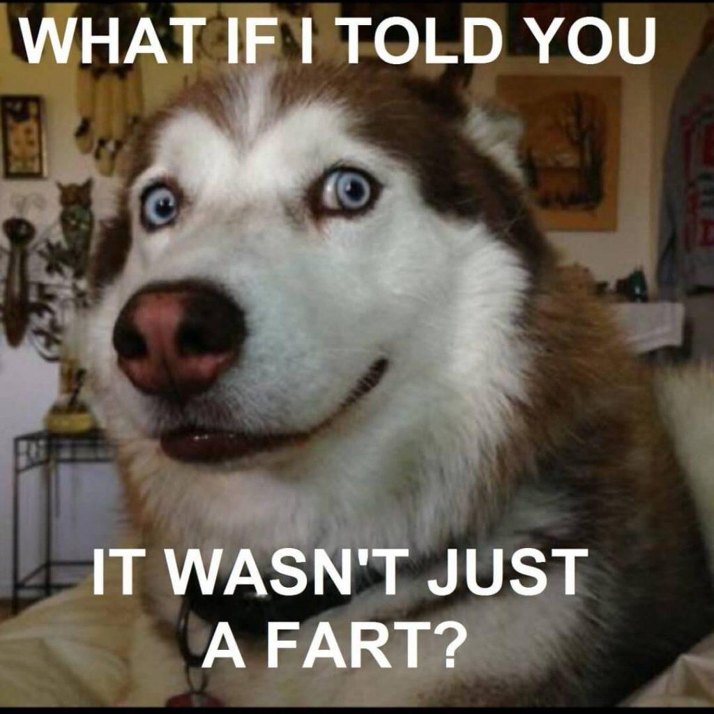 what if i told you it wasnt just a fart... dog fart meme