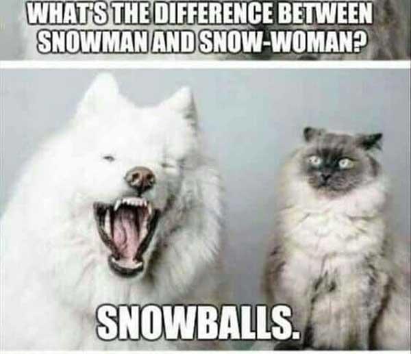 what'S the difference between snowman and snow-woman - snow meme