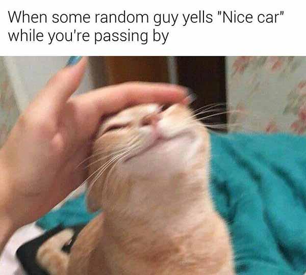 when some random guy yelles nice car... car meme