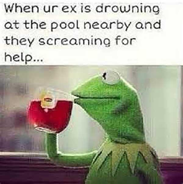 when ur ex is drowning at the pool... kermit drinking tea meme