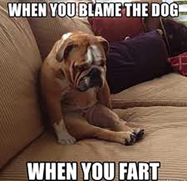 when you blame the dog when you fart