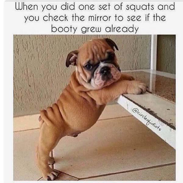 when you did one set of squats... leg day meme