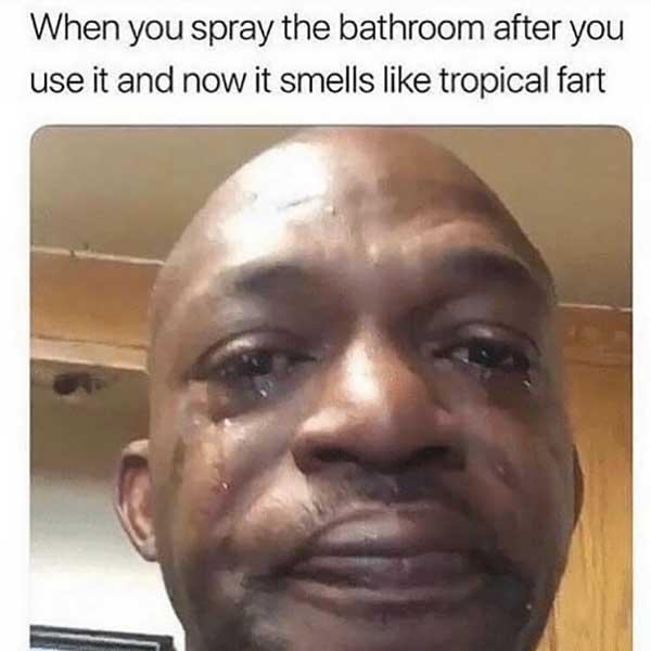 when you spray the bathroom after use and now it smelles like tropical fart... fart meme