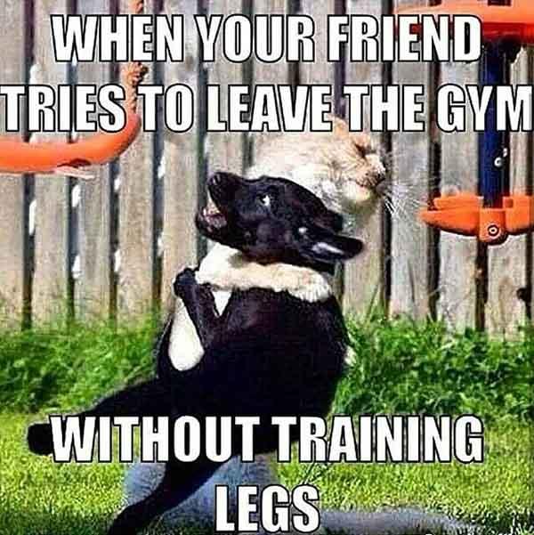 when your friend tries to leave the gym without training legs