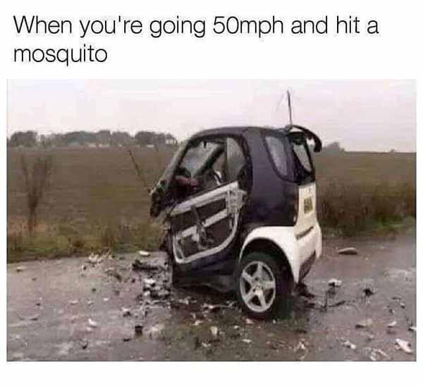when you're going 50mph and hit mosquito - car meme