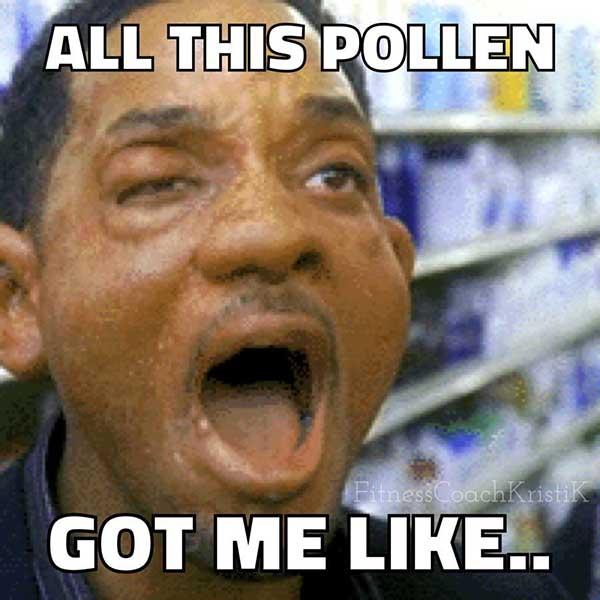 will smith allergy meme