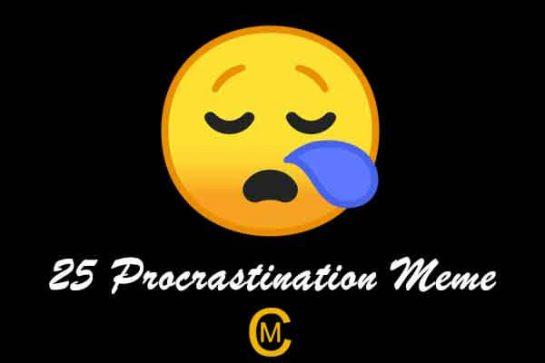 25 Procrastination Meme