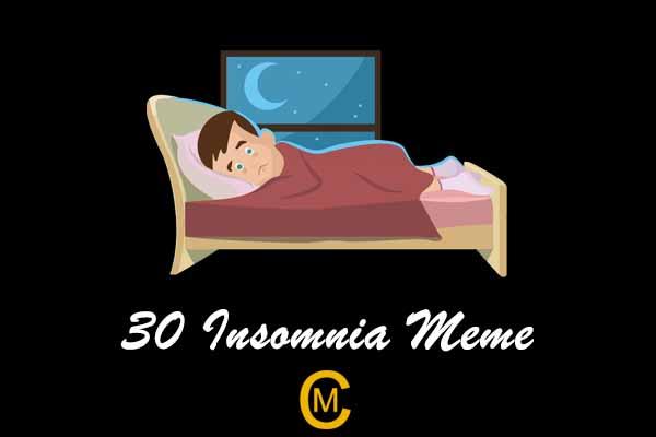 30 Insomnia Meme