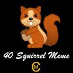 40 Squirrel Meme