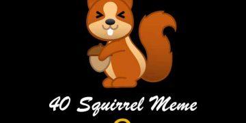 40 Squirrel Meme