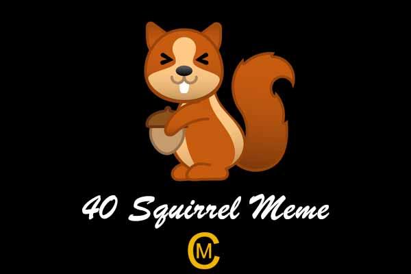 40 Squirrel Meme