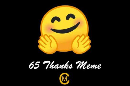 65 Thanks Meme