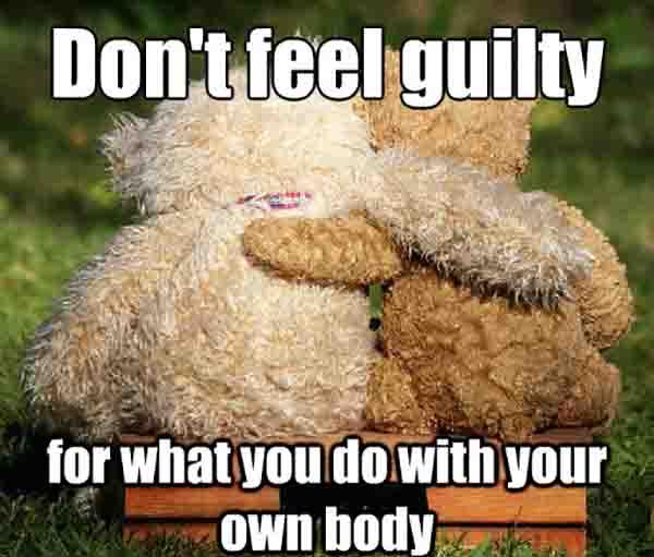 Funny-Bear-Meme-Dont-Feel-Guilty